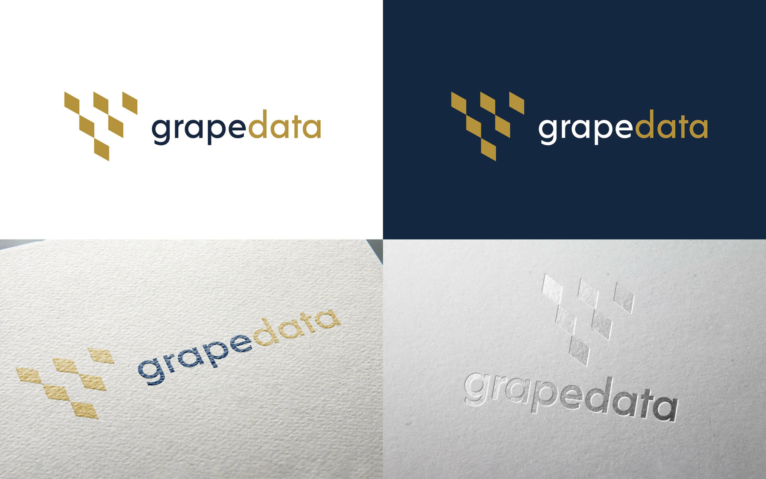 1_grapedata_logo