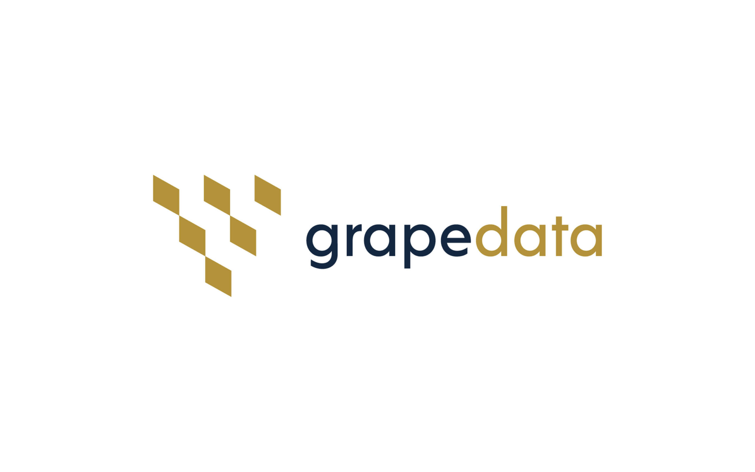 6_grapedata_logo1